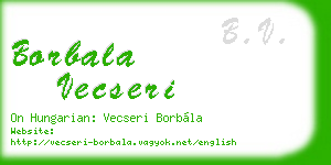 borbala vecseri business card